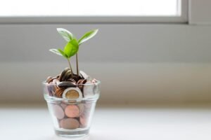 How to track monthly expenses?